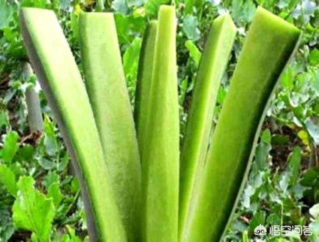 冬天吃什么水果比較好呢？